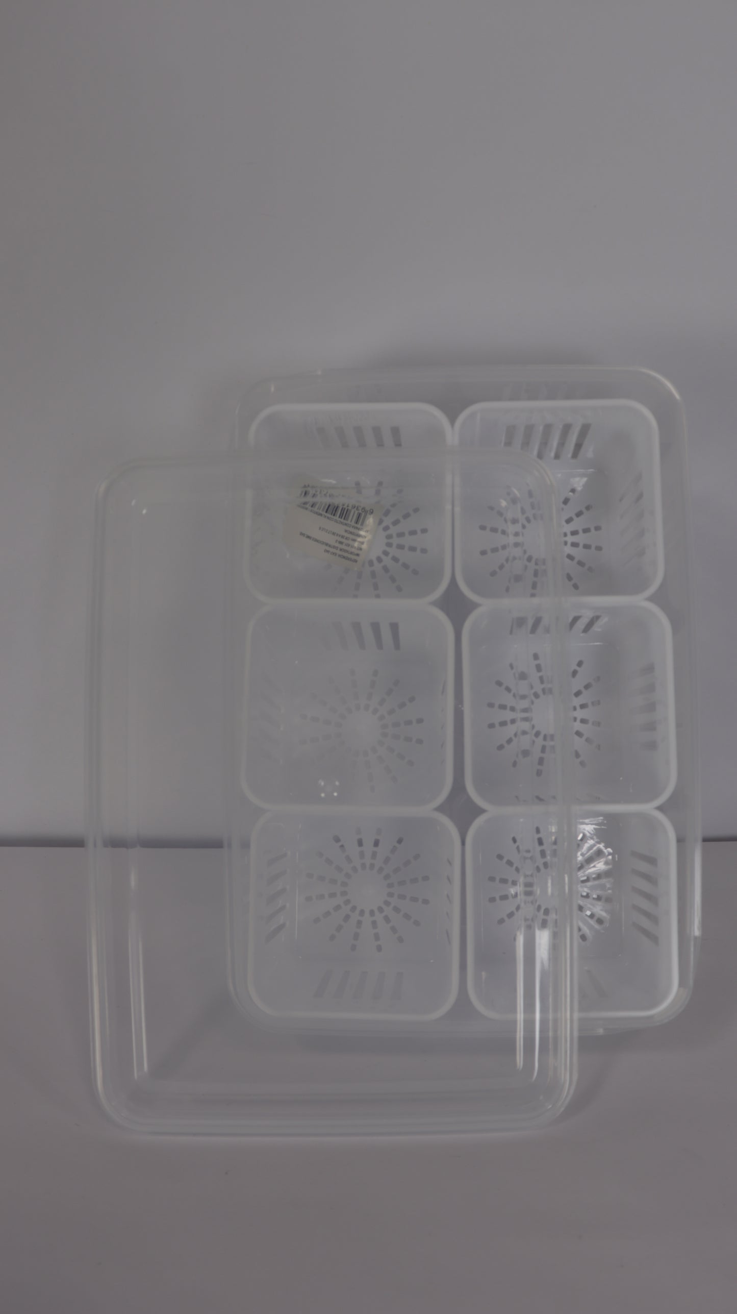 RECIPIENTE RECTANGULAR PARA NEVERA CON TAPA, ESCURRIDOR Y 6 DIVISIONES EN RECIPIENTES INDIVIDUALES